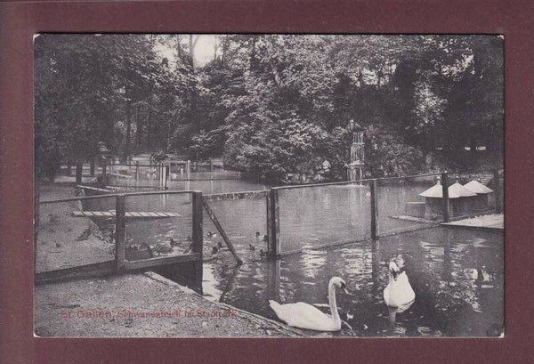ST. GALLEN - Schwanenteich im Stadtpark - 1909
