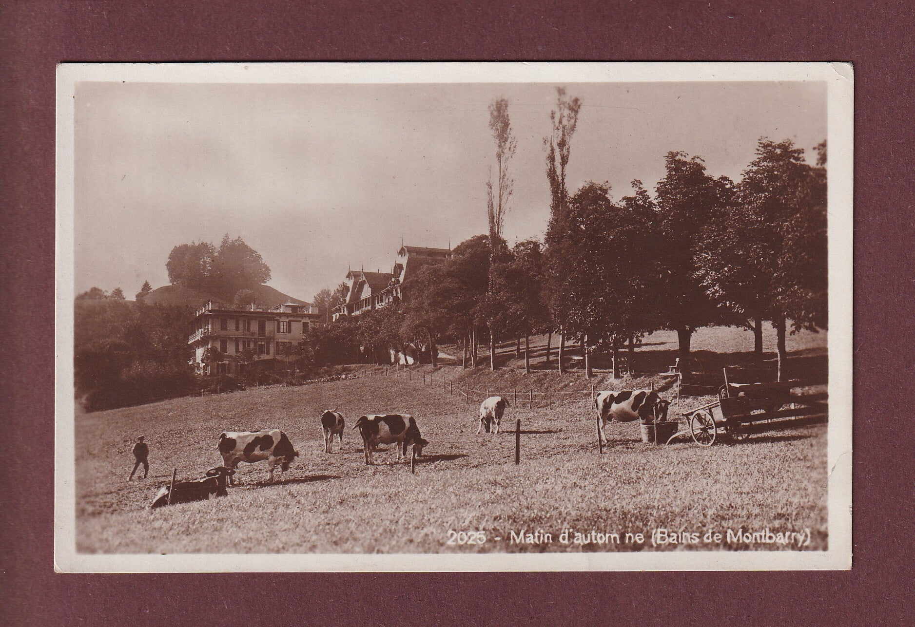 BAINS DE MONTBARRY - Vaches - 1924 // pli d'angle //