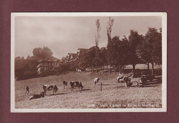BAINS DE MONTBARRY - Vaches - 1924 // pli d'angle //