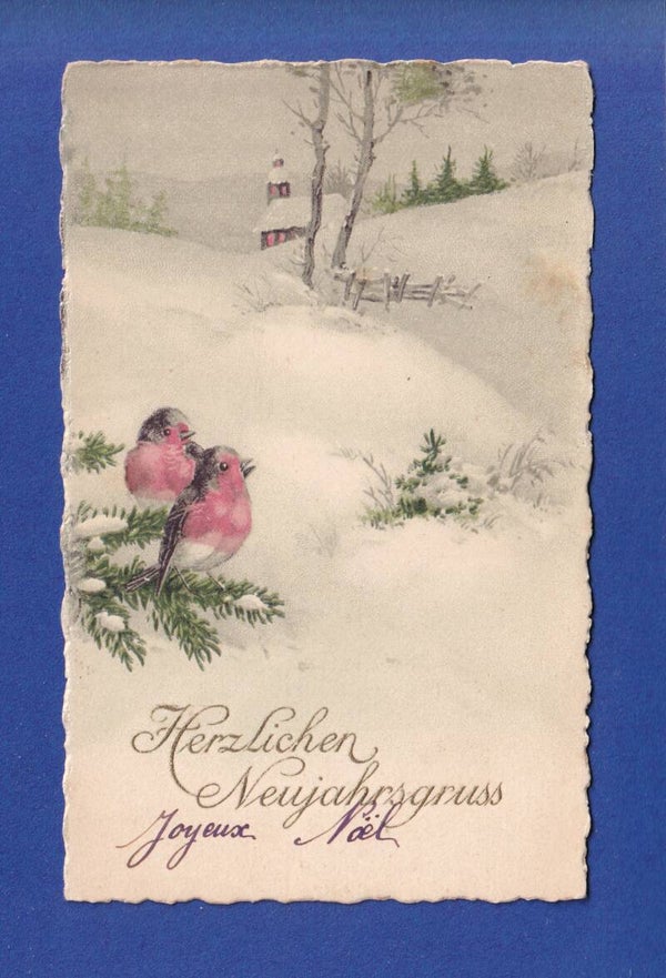 NEUJAHR - Vögel - Schnee - 1922