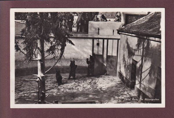 BERN - Bärengraben - 1933