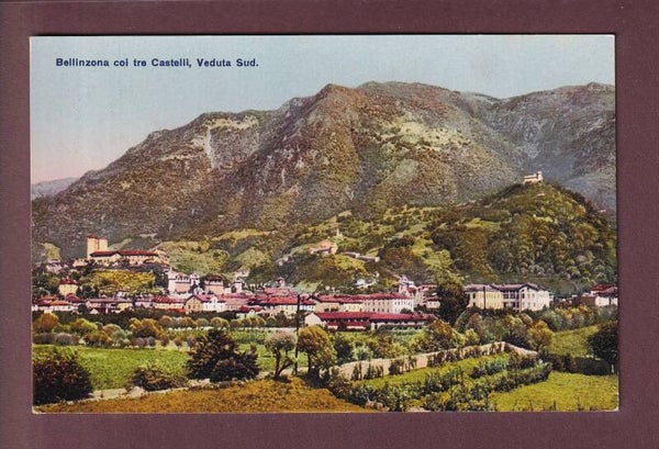 BELLINZONA veduta Sud