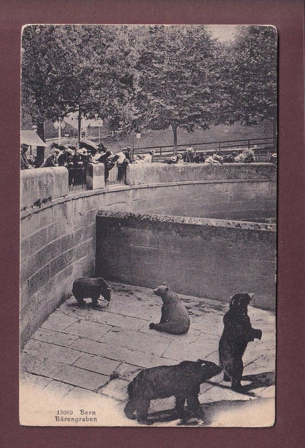 BERN - Bärengraben