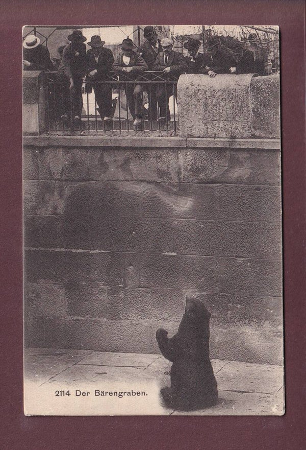 BERN - Bärengraben