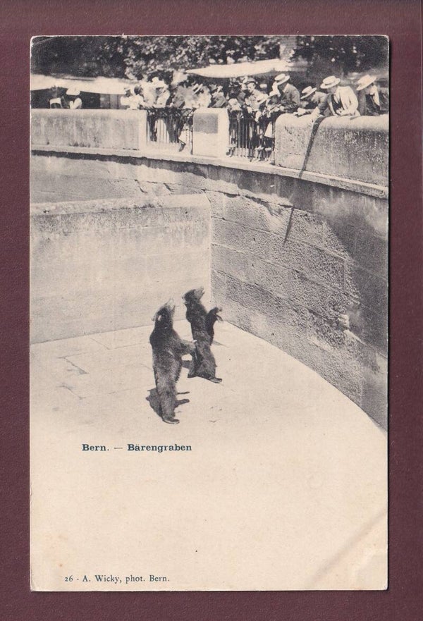 BERN - Bärengraben