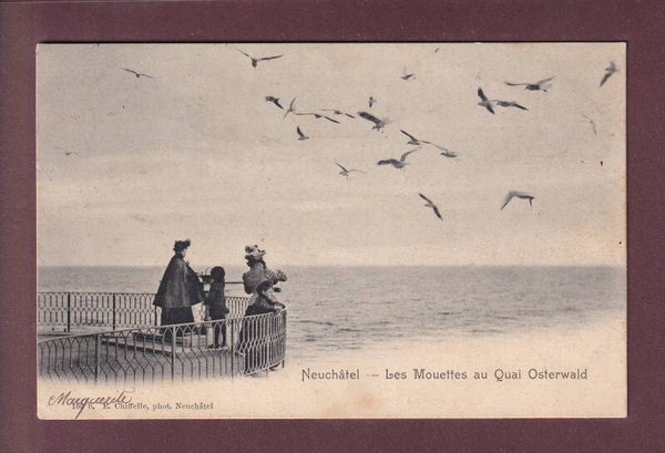 NEUCHÂTEL - Les Mouettes au Quai Osterwald - 1906