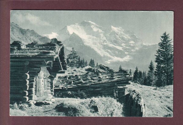 Bei WENGEN - Jungfrau