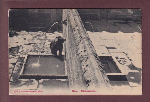BERN - Bärengraben