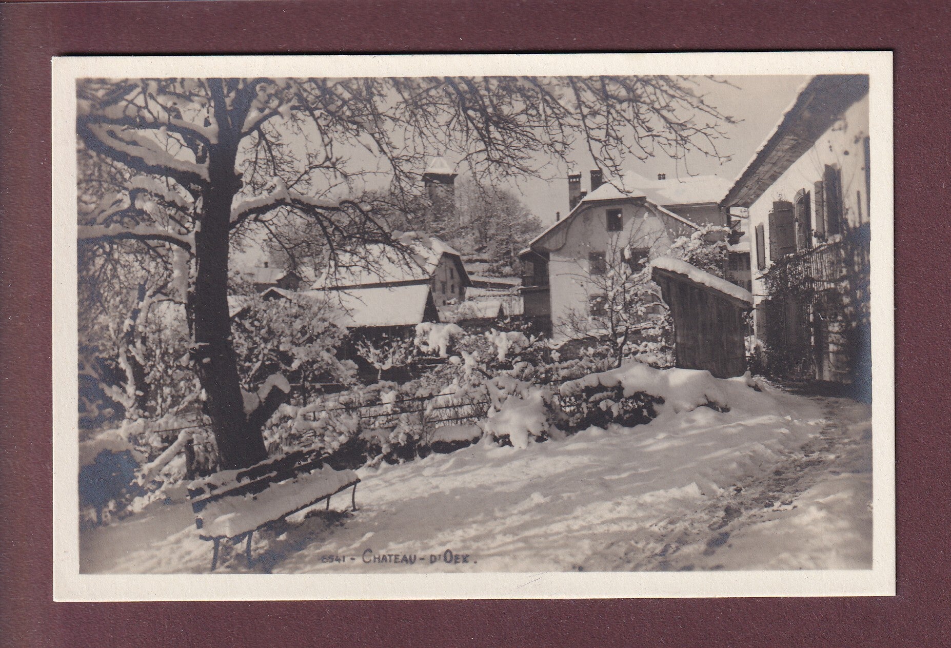 Partie enneigée à CHÂTEAU D'OEX