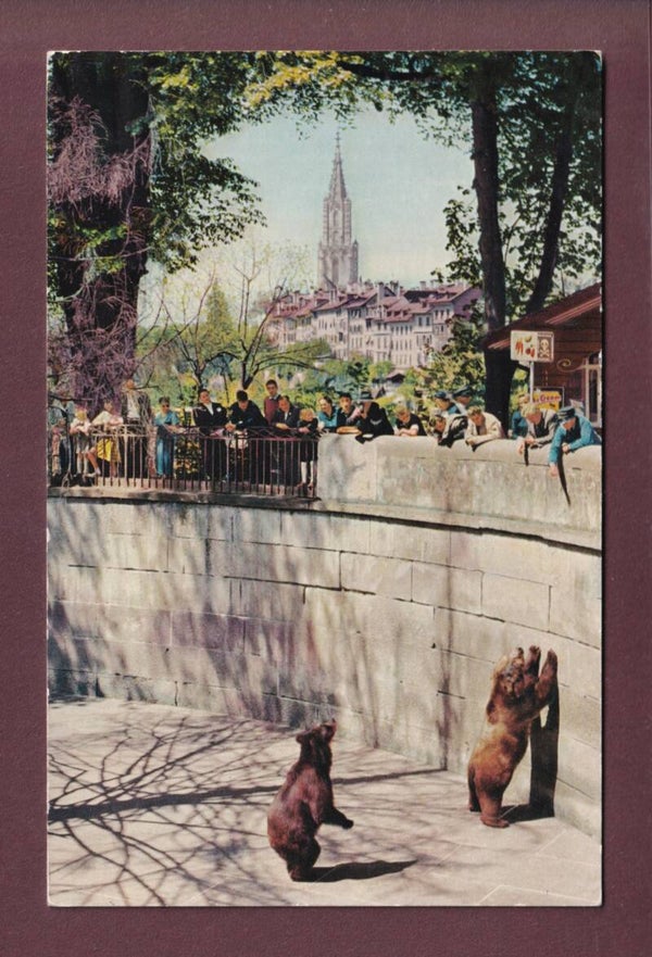 BERN - Bärengraben