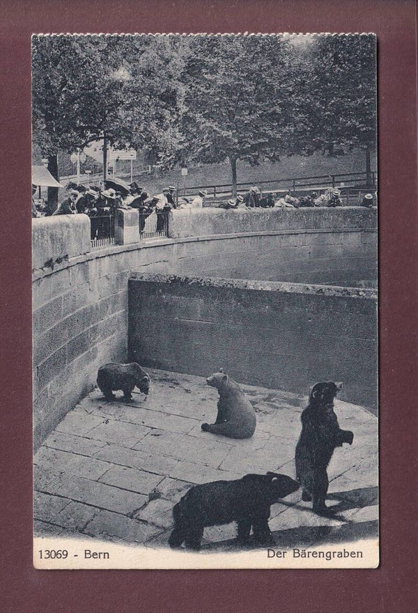 BERN - Bärengraben