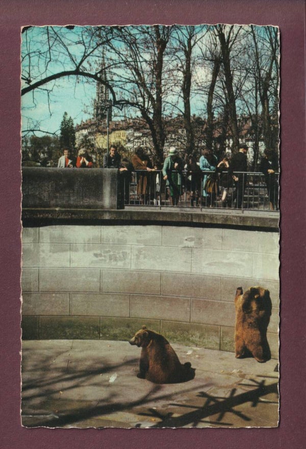 BERN - Bärengraben