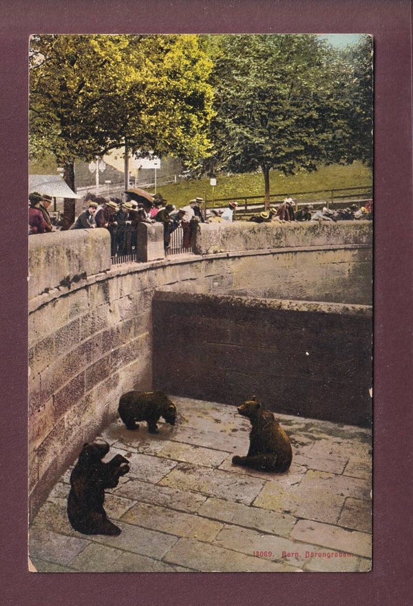 BERN - Bärengraben