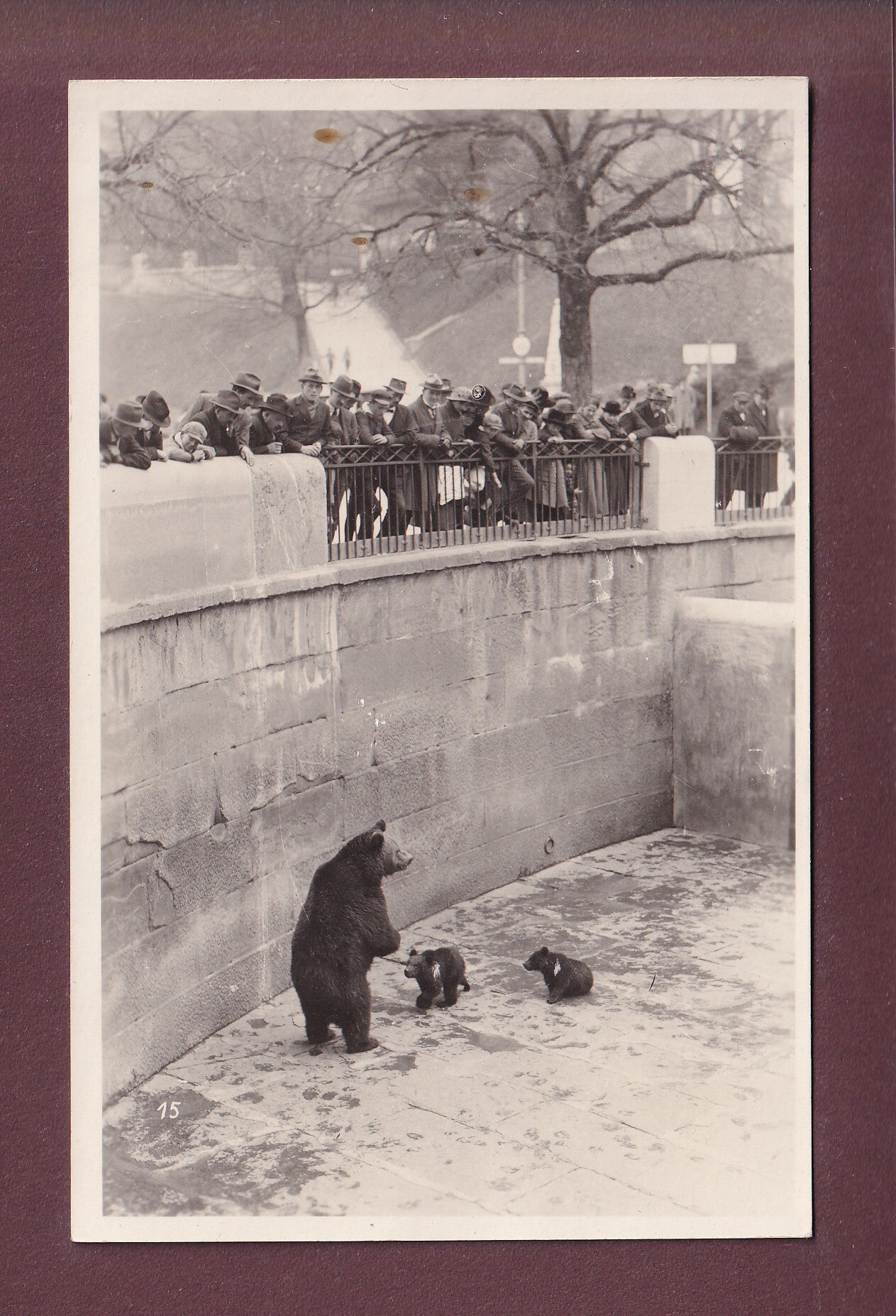 Foto - BERN - Bärengraben
