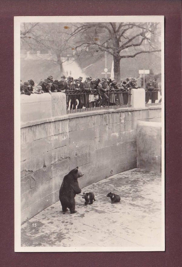 Foto - BERN - Bärengraben