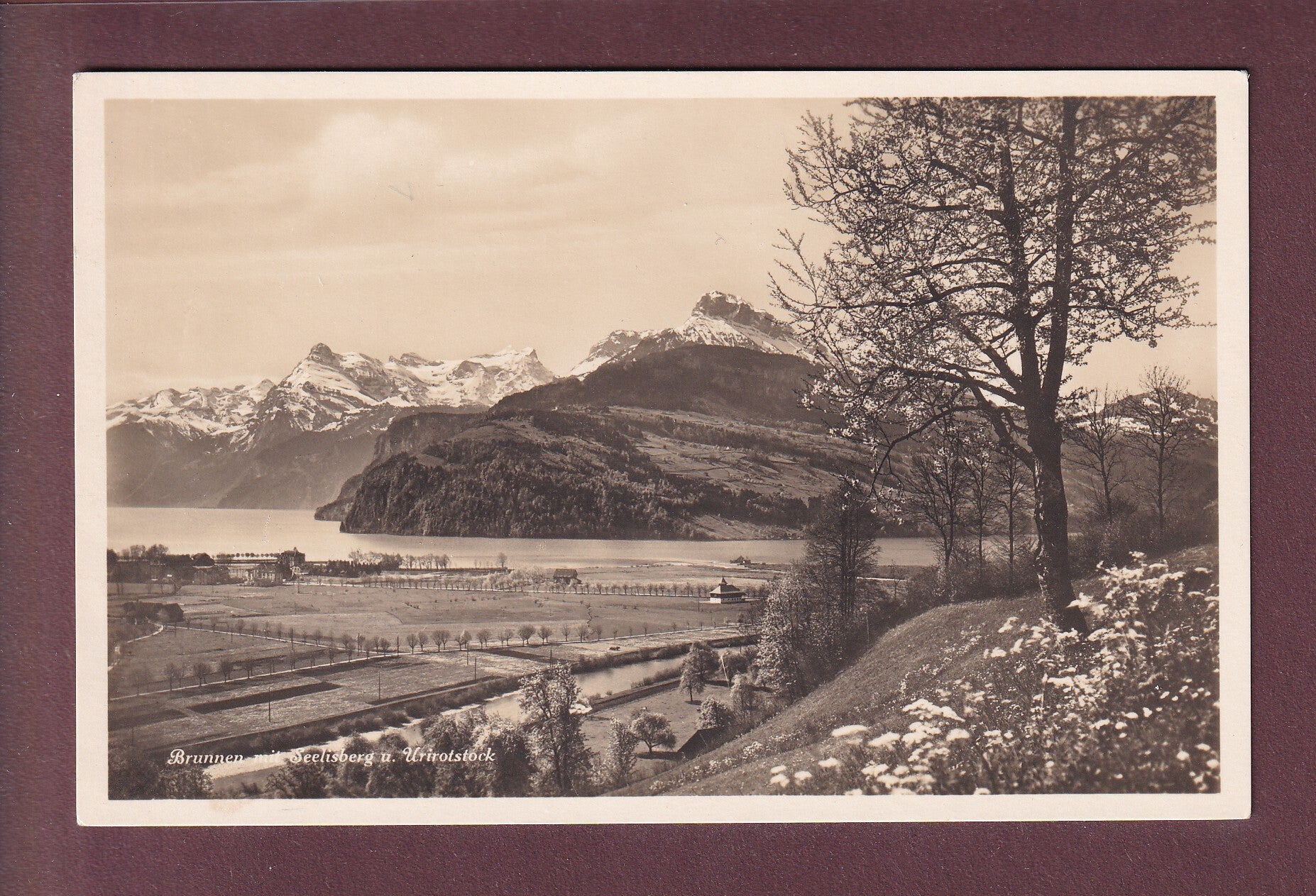BRUNNEN - Seelisberg und Urirotstock