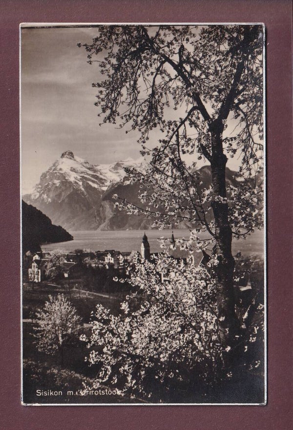 SISIKON - Urirotstock