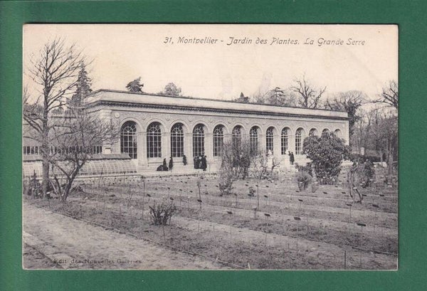 MONTPELLIER - Jardin des Plantes - Grande Serre - 1907