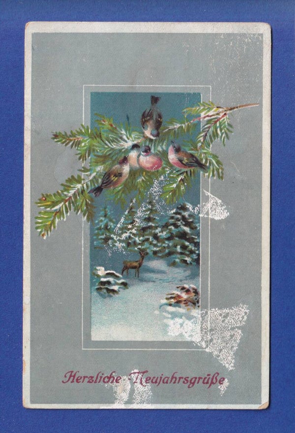 NEUJAHR - Vögel - Schnee - 1923