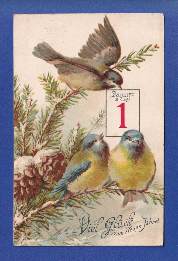 NEUJAHR - Vögel - Schnee - 1905