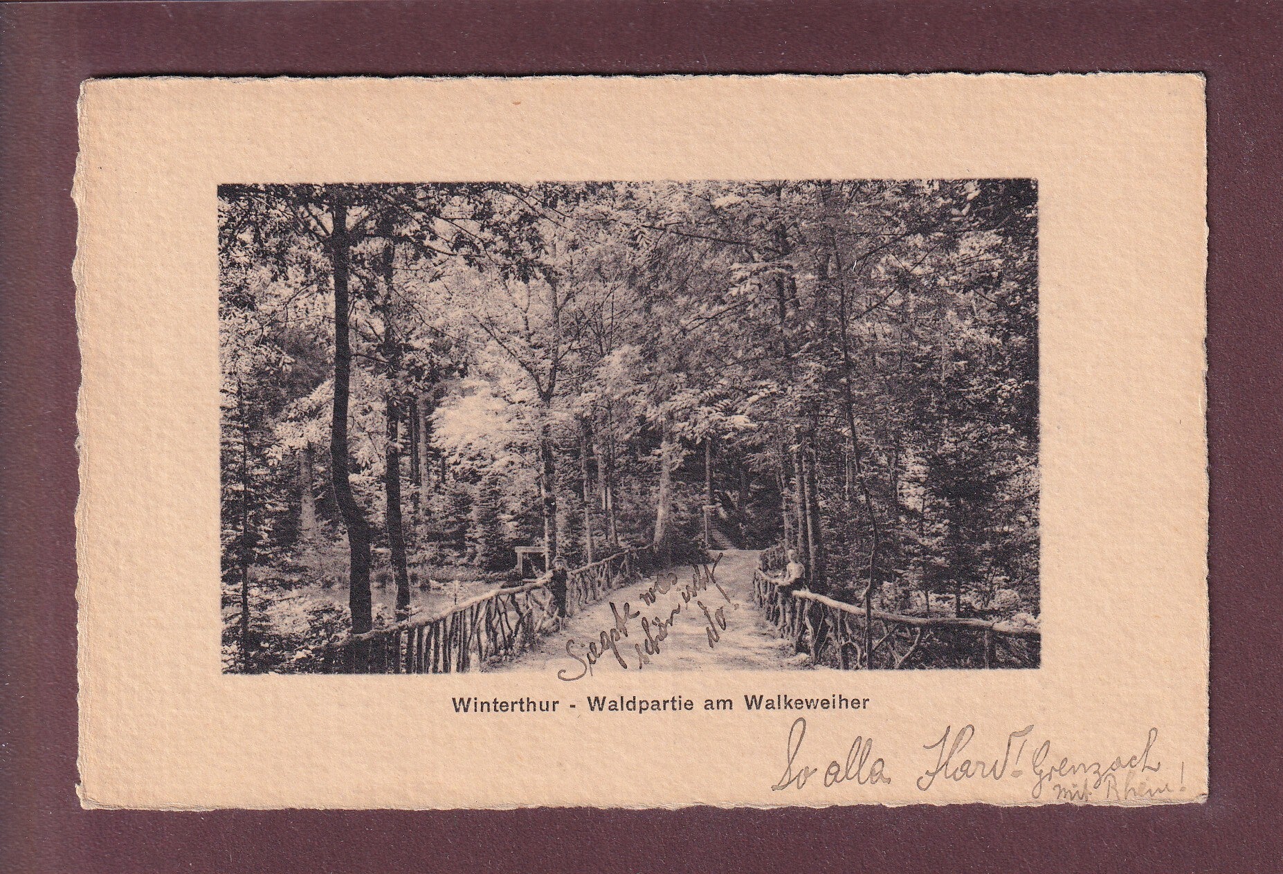 WINTERTHUR - Am Walkeweiher - 1911