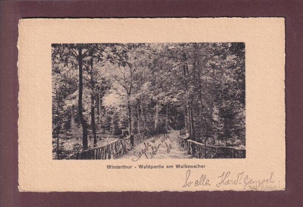 WINTERTHUR - Am Walkeweiher - 1911