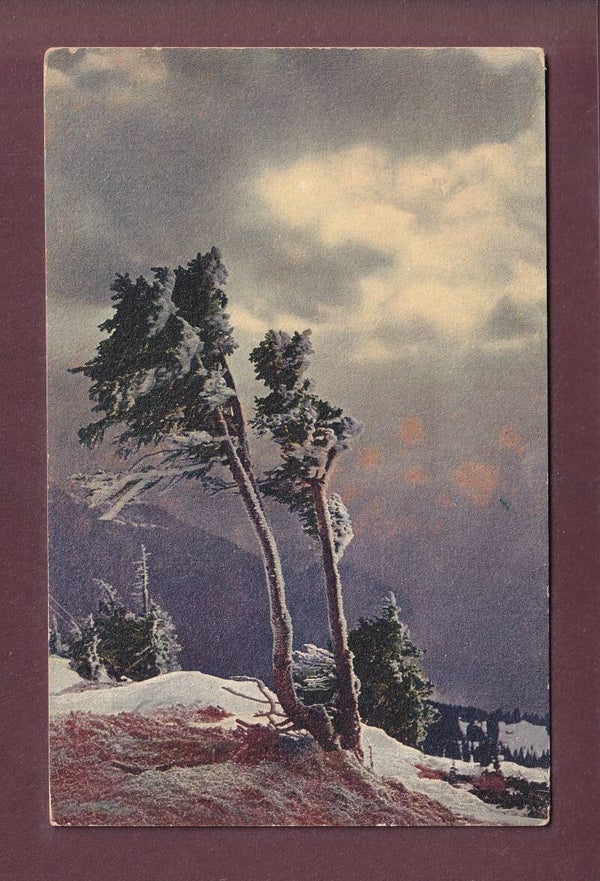 Am RIGI - 1911