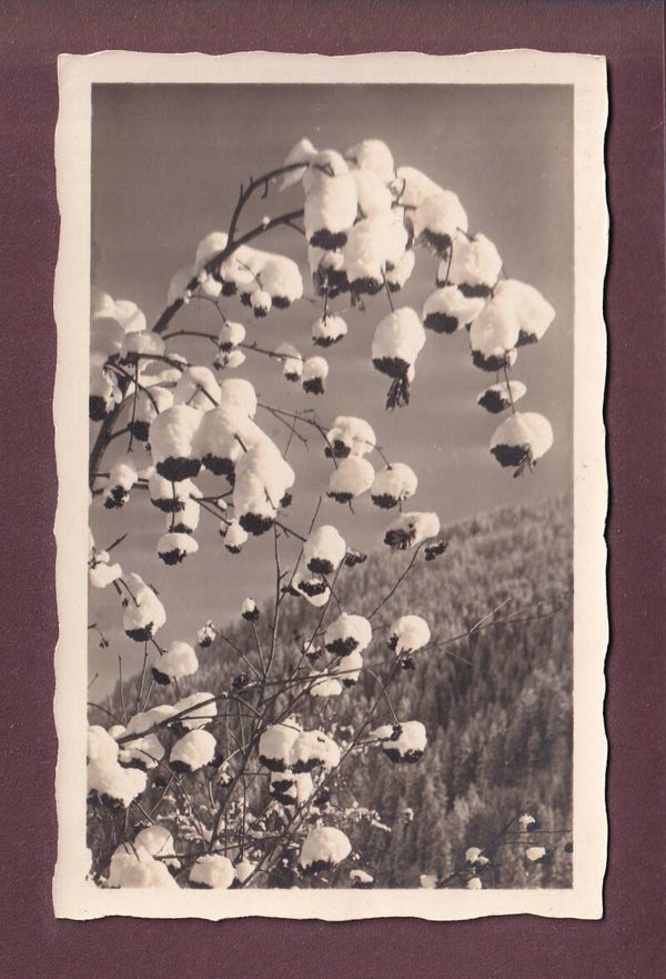 DAVOS - Schneeglocken - 1932