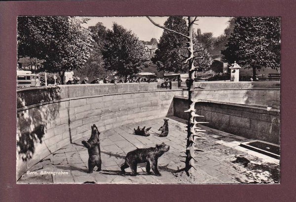 BERN - Bärengraben - 1946