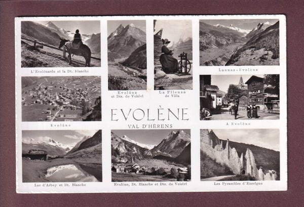 EVOLENE - 9 images