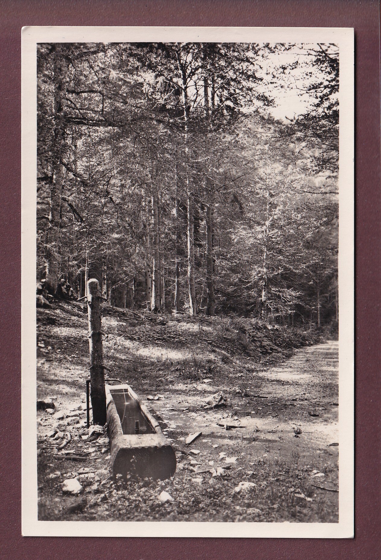 CREUX-DU-VAN - Fontaine froide
