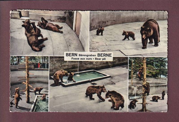 BERN - Bärengraben - 1961