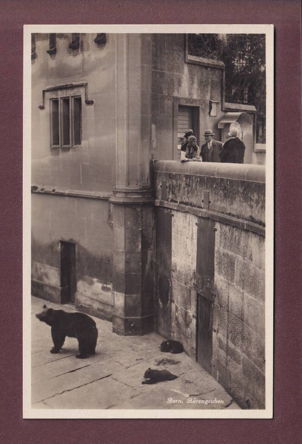 BERN - Bärengraben - 1934