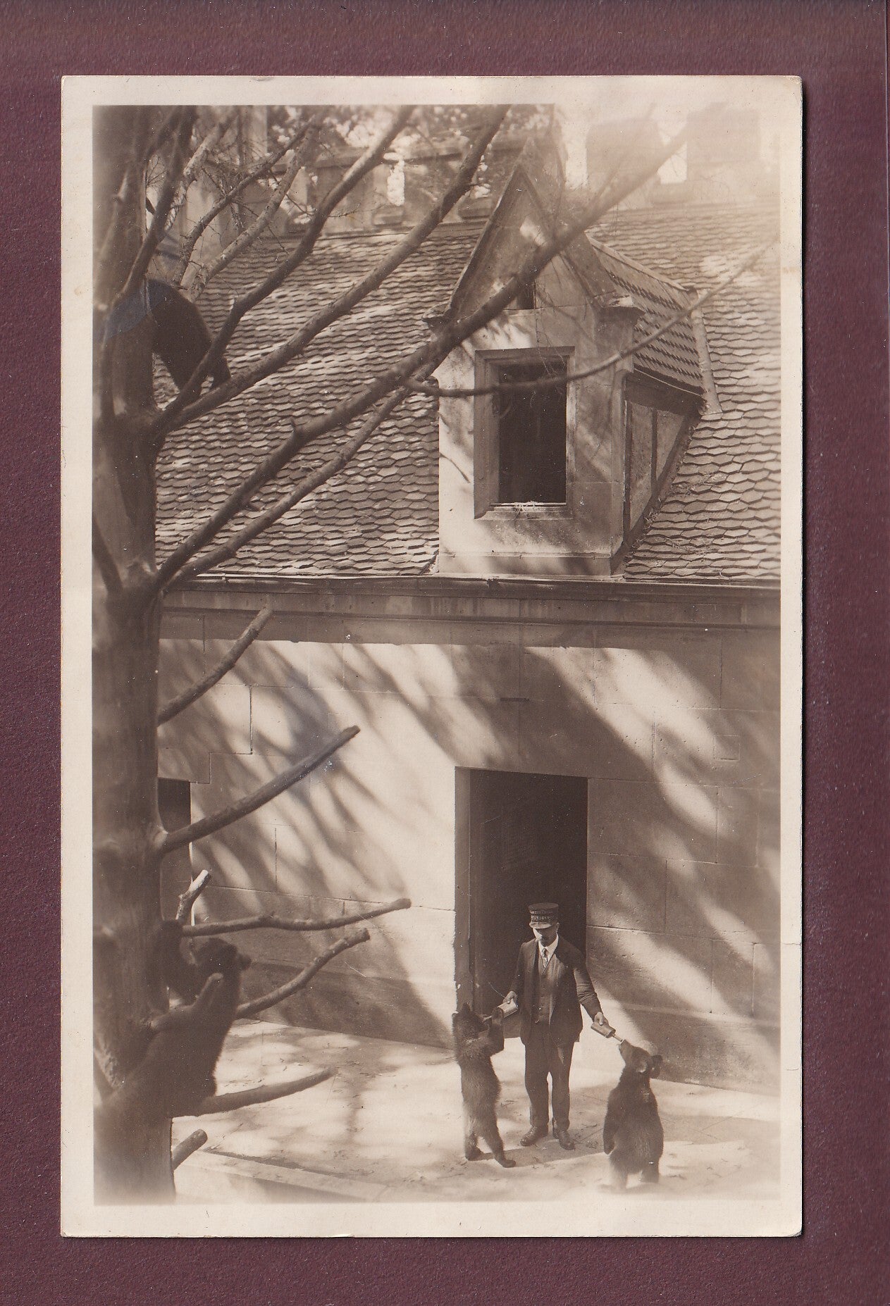 Foto - BERN - Bärengraben