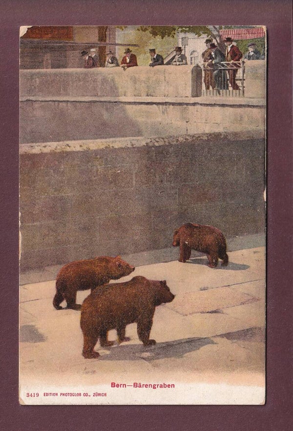 BERN - Bärengraben - 1919