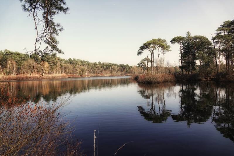 Oisterwijkse Vennen en Bossen