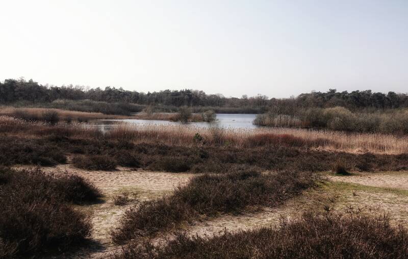Kampina