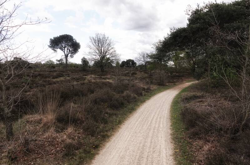 Leenderse heide