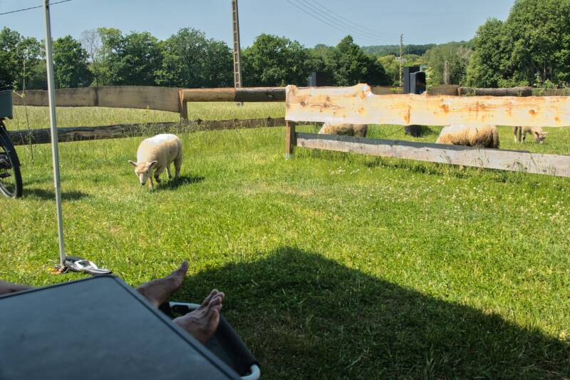 visite bij de camper