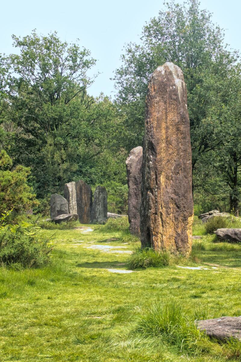 Menhirs de Monteneuf