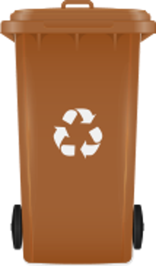 Reinigung Biotonnen 60L bis 240L