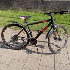 amigo-rood1-standard.jpg