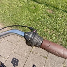 popal2-standard.jpg
