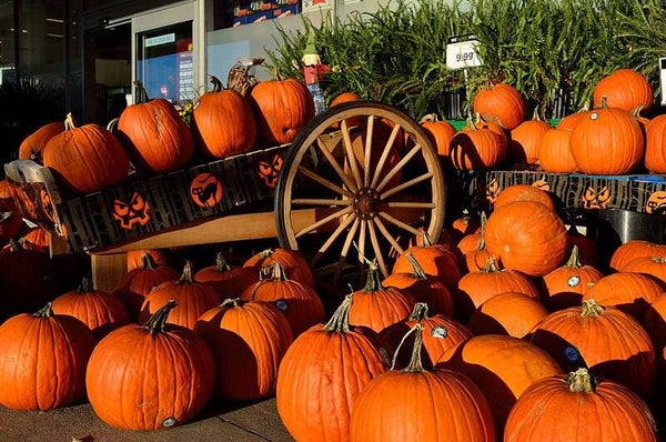HALLOWEEN CARNIVAL ADMISSION