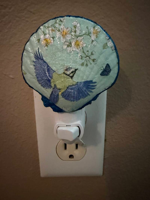 Blue Bird Nightlight