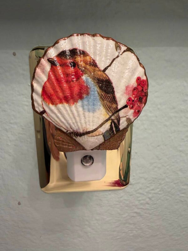 Redbird Nightlight