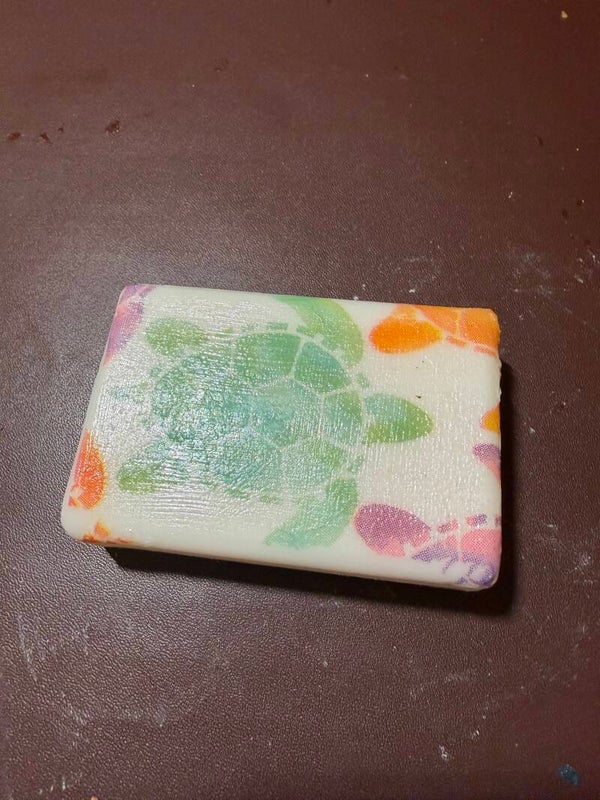Turtle Soap