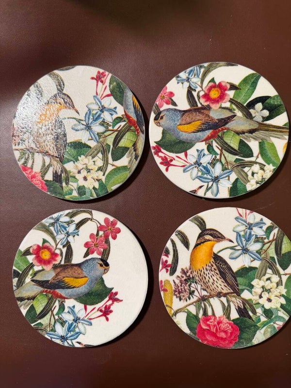 Tropical Birds
