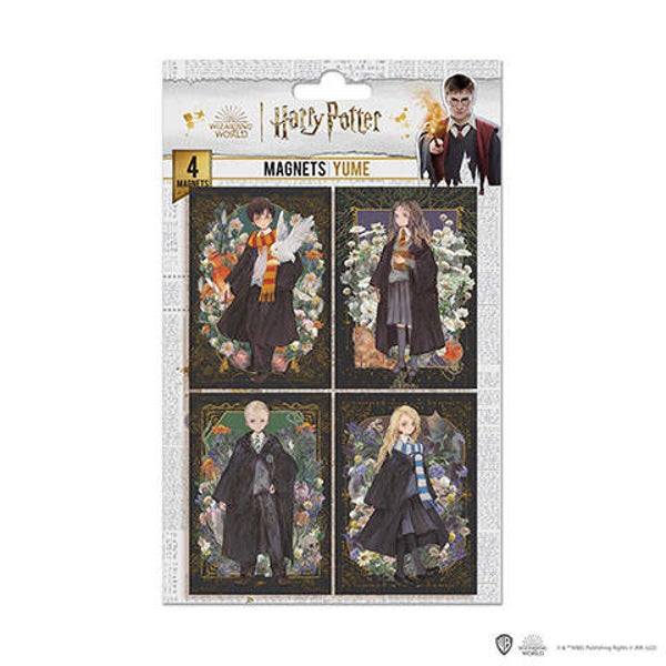 Set de 4 magnets - Personnages portraits - Harry Potter