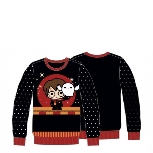 Pull de Noël - Harry Potter avec Hedwige